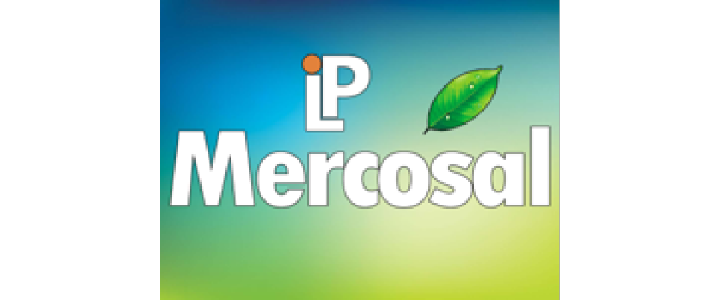 Material para la web QYS-42