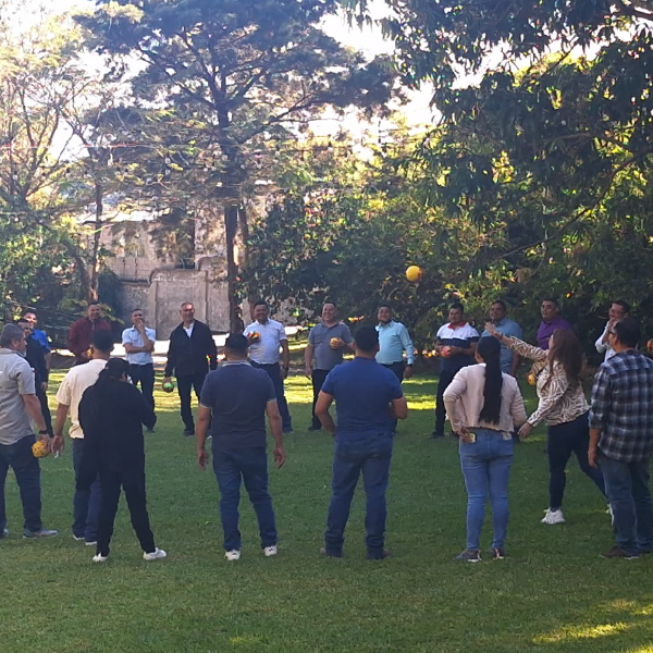 quienes somos carrusel consultora QyS-109