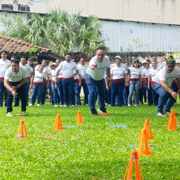 quienes somos carrusel consultora QyS-118