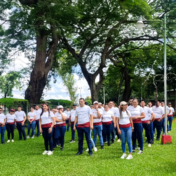 quienes somos carrusel consultora QyS-120